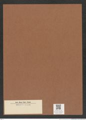 Diatomeae indet. Zeichnungen Sammlung Grunow Mappe 04340 (Herbarium_W_Grunow_drawings_Folder_04340)
